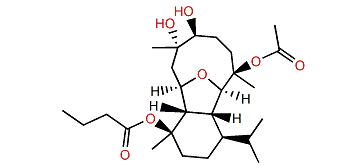 Pachycladin A